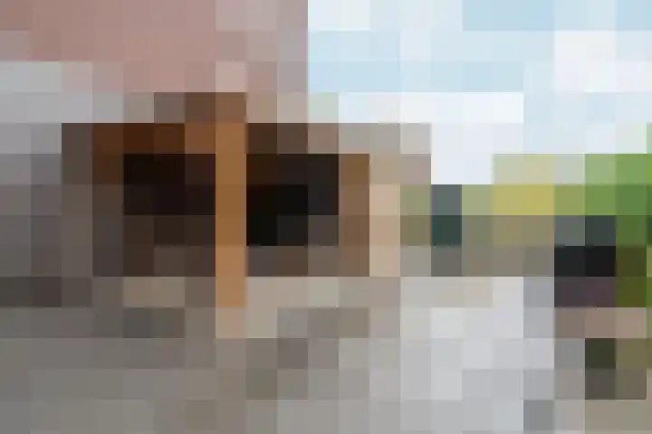 Kick Wilstraplantsoen 58 Almere thumbnail 45