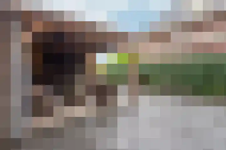 Kick Wilstraplantsoen 58 Almere thumbnail 46