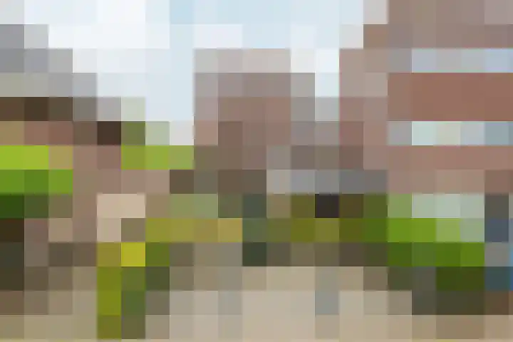 Kick Wilstraplantsoen 58 Almere thumbnail 7