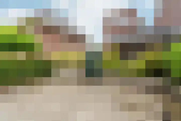 Kick Wilstraplantsoen 58 Almere thumbnail 8