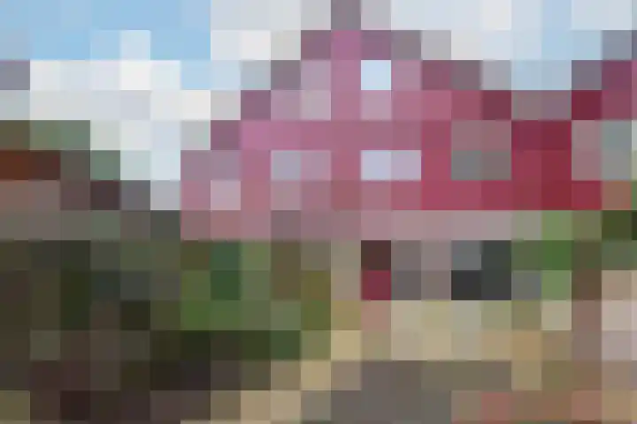 Kickestein 24 Loenen aan de Vecht thumbnail 15