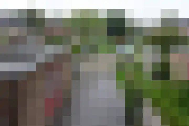 Kickestein 24 Loenen aan de Vecht thumbnail 17