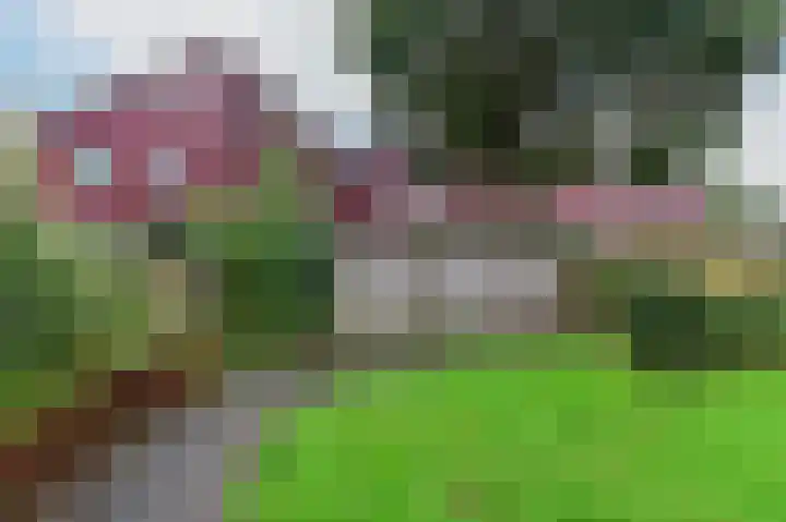 Kickestein 24 Loenen aan de Vecht thumbnail 18