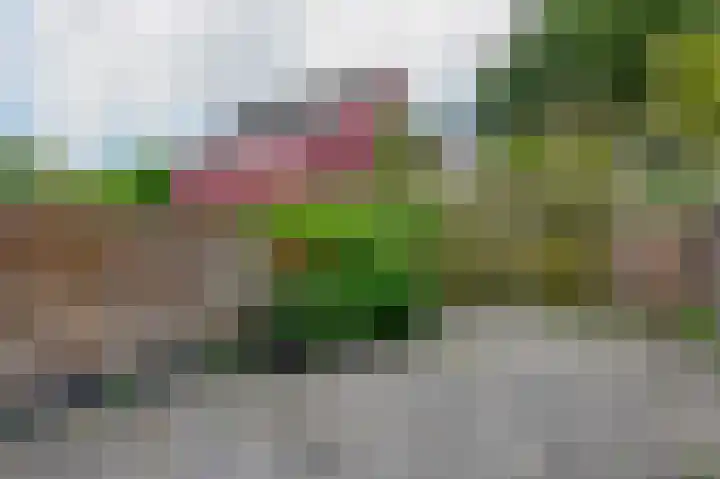 Kickestein 33 Loenen aan de Vecht thumbnail 19