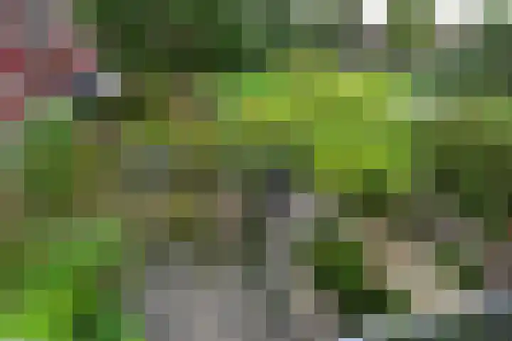 Kickestein 33 Loenen aan de Vecht thumbnail 21