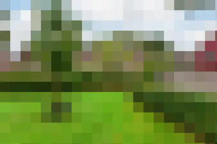 Kickestein 33 Loenen aan de Vecht thumbnail 23