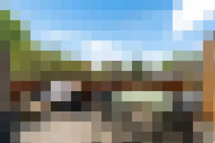Kid Oryrode 15 Zoetermeer thumbnail 23