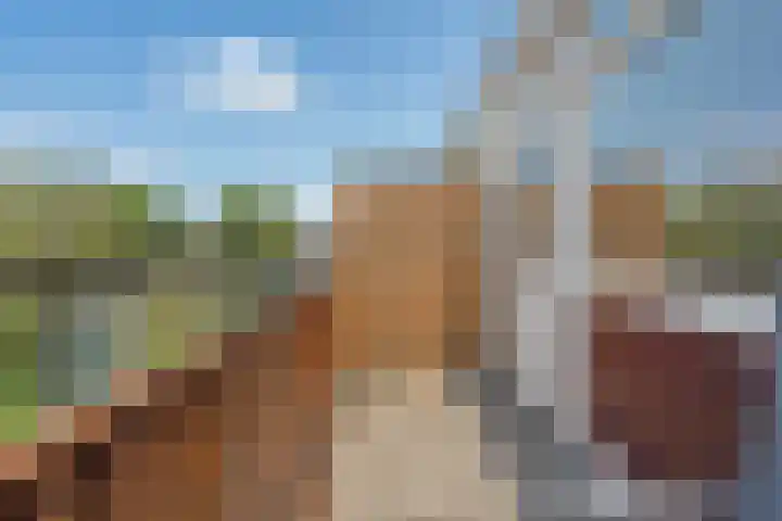 Kid Oryrode 15 Zoetermeer thumbnail 36