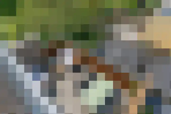 Kid Oryrode 15 Zoetermeer thumbnail 37