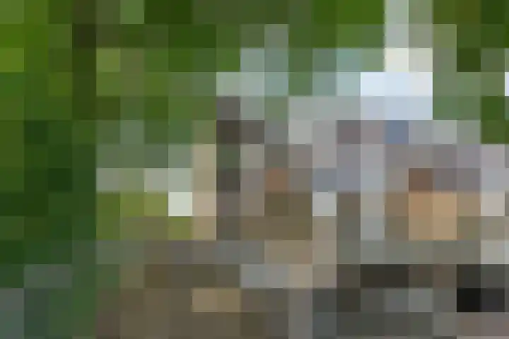 Kid Oryrode 15 Zoetermeer thumbnail 4