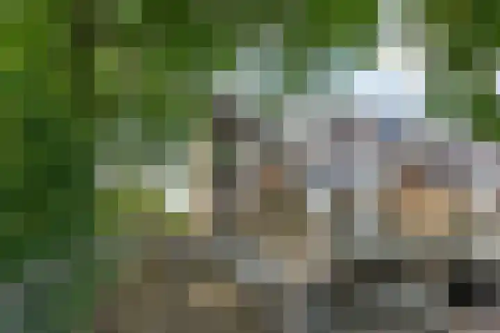 Kid Oryrode 15 Zoetermeer thumbnail 47