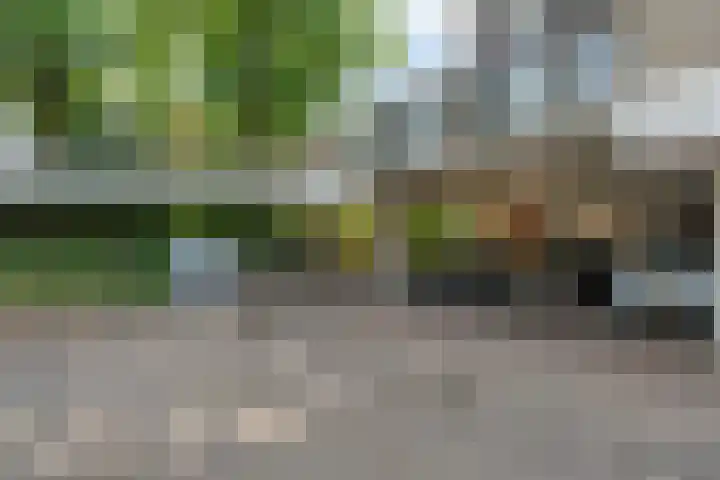 Kid Oryrode 15 Zoetermeer thumbnail 48