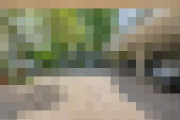 Kid Oryrode 15 Zoetermeer thumbnail 49