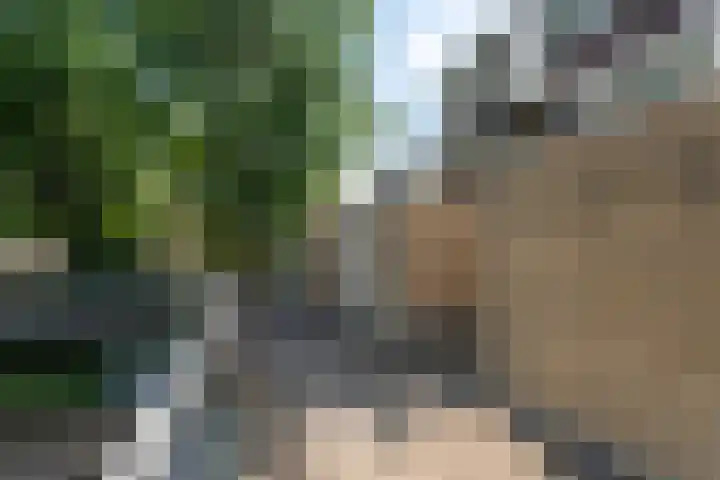 Kid Oryrode 15 Zoetermeer thumbnail 51
