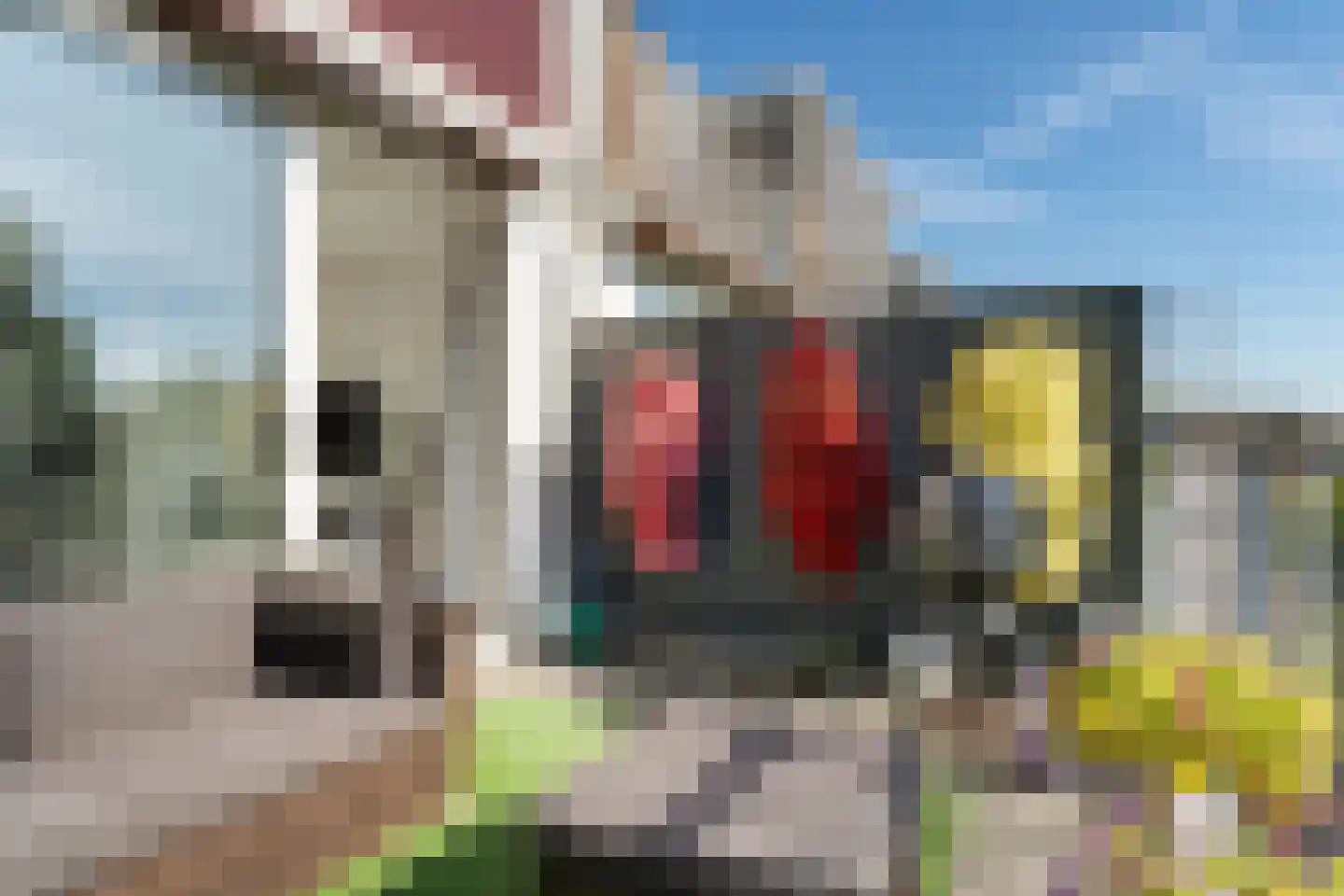 Kid Oryrode 16 Zoetermeer thumbnail 22