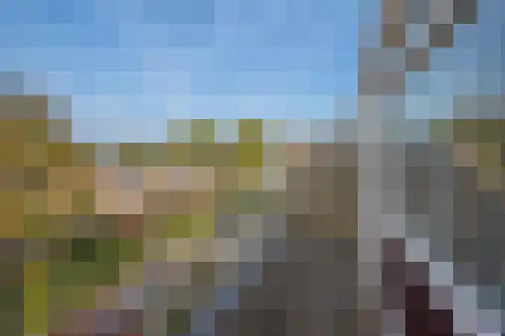 Kid Oryrode 7 Zoetermeer thumbnail 28