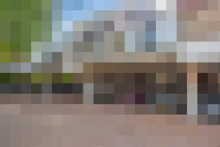 Kid Oryrode 7 Zoetermeer thumbnail 31
