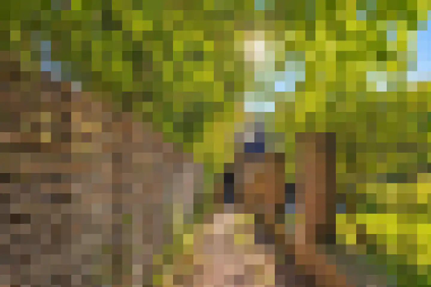 Kiebeukel 23 Gulpen thumbnail 16