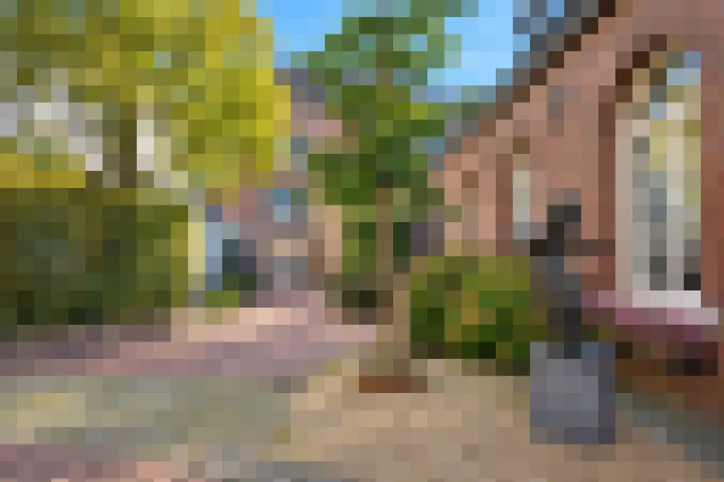Kiebeukel 23 Gulpen thumbnail 18
