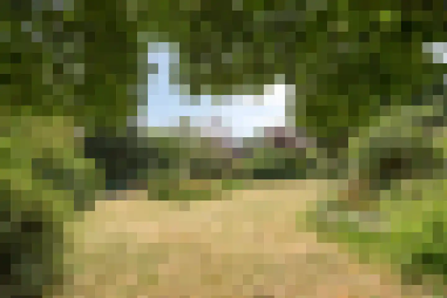 Kiebeukel 35 Gulpen thumbnail 33