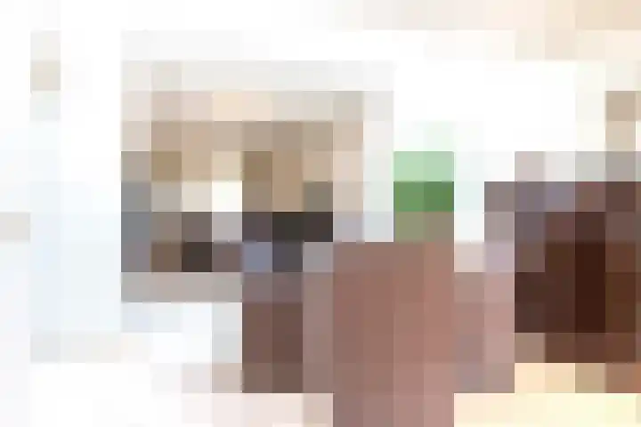 Kieboom 7 Liessel thumbnail 16