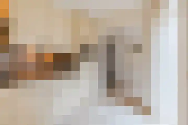 Kieboom 7 Liessel thumbnail 21
