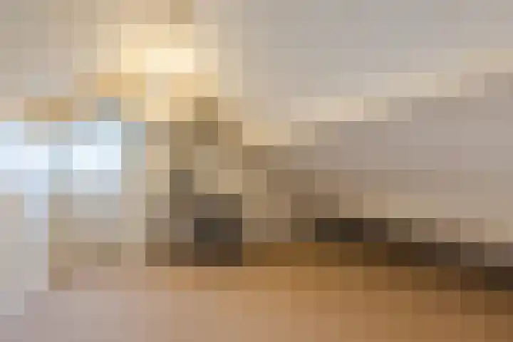 Kieboom 7 Liessel thumbnail 35