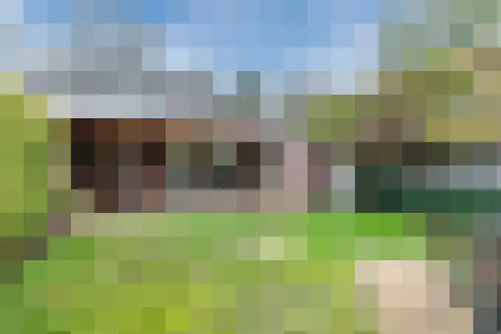 Kieboom 7 Liessel thumbnail 38