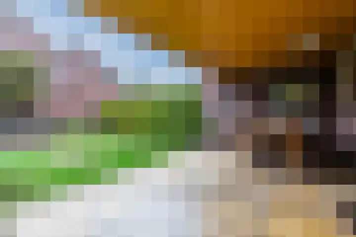 Kieboom 7 Liessel thumbnail 40