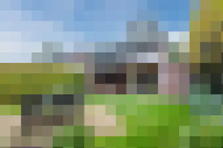 Kieboom 7 Liessel thumbnail 42