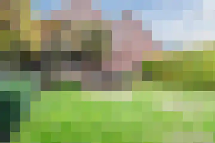 Kieboom 7 Liessel thumbnail 43