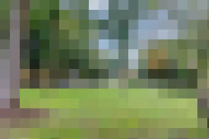 Kieboom 7 Liessel thumbnail 49
