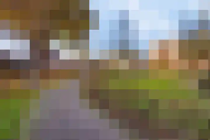 Kieboom 7 Liessel thumbnail 50