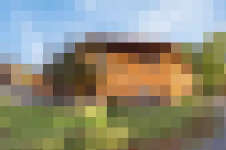 Kieboom 7 Liessel thumbnail 51