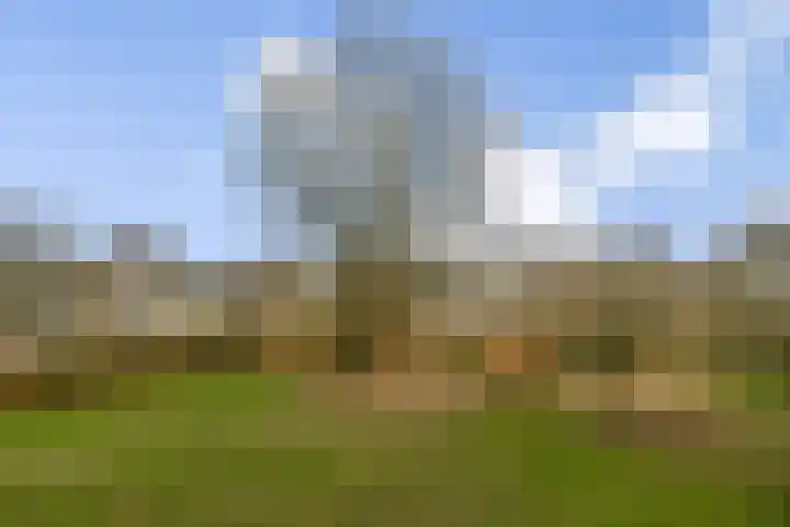 Kiefskamp 15 Amsterdam thumbnail 12