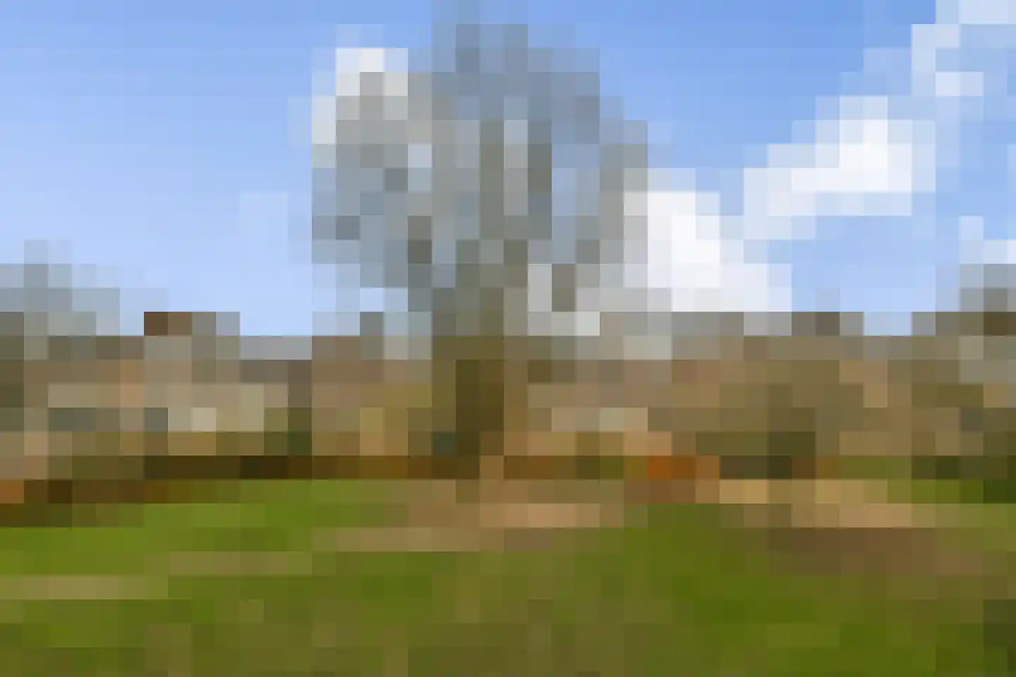 Kiefskamp 15 Amsterdam thumbnail 13