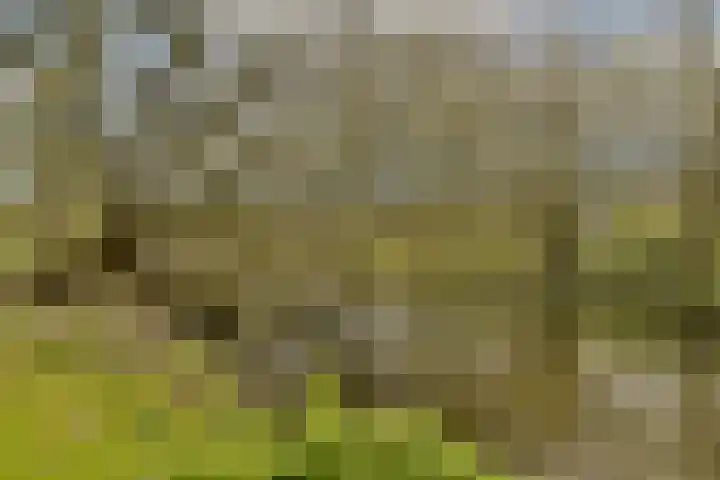 Kiefskamp 15 Amsterdam thumbnail 19