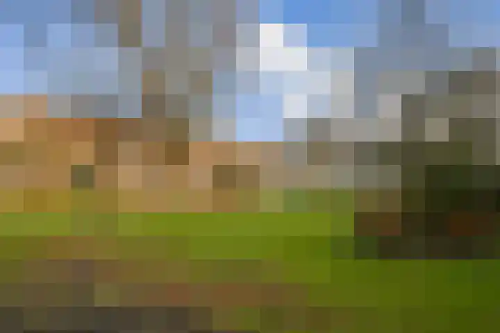 Kiefskamp 15 Amsterdam thumbnail 7
