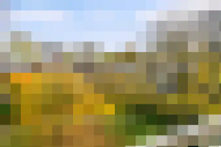 Kiefskamp 27 Amsterdam thumbnail 21
