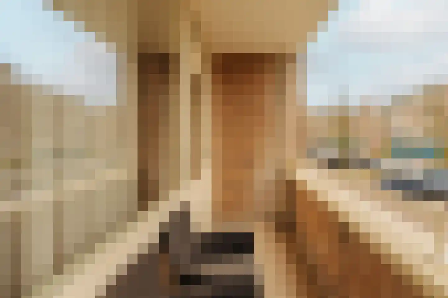 Kiefskamp 7 Amsterdam thumbnail 5