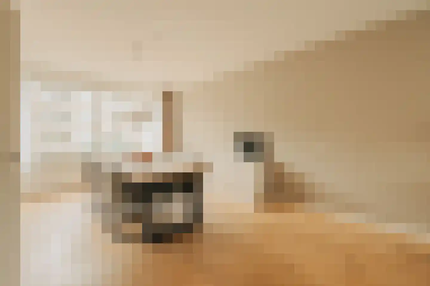 Kiefskamp 7 Amsterdam thumbnail 8