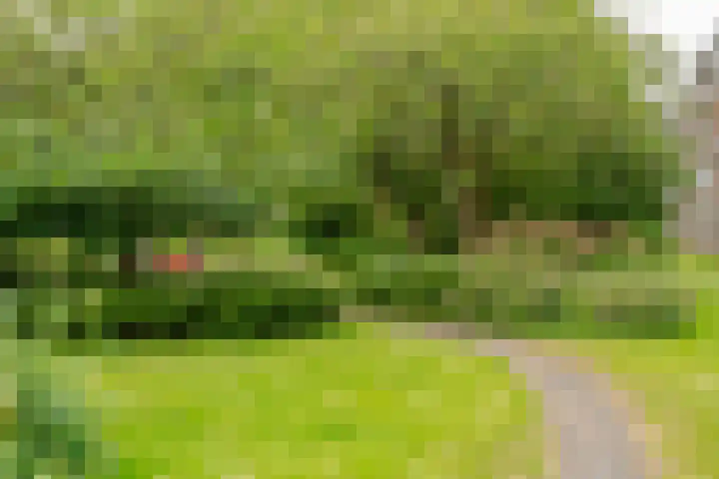 Kiefskamp 93 Amsterdam thumbnail 26