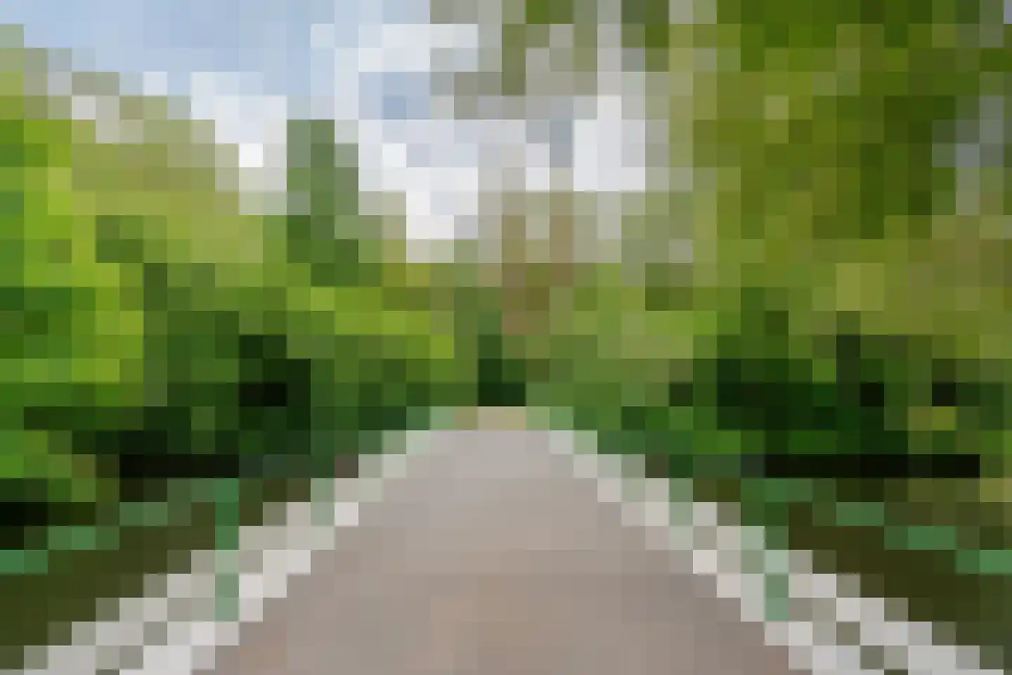 Kiefskamp 93 Amsterdam thumbnail 30
