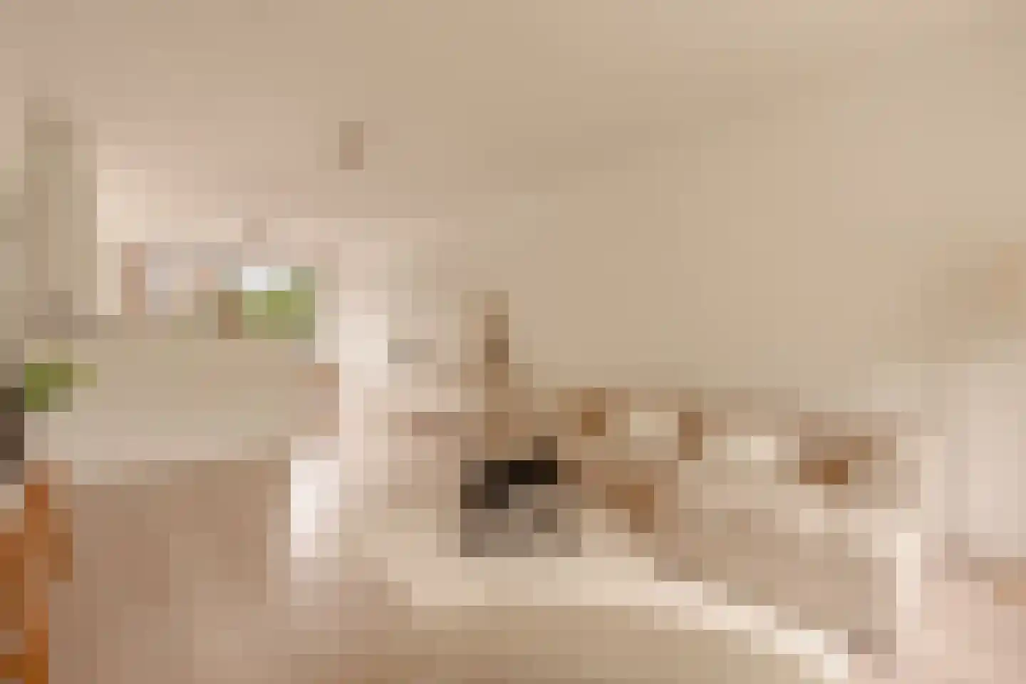 Kiefskamp 93 Amsterdam thumbnail 4