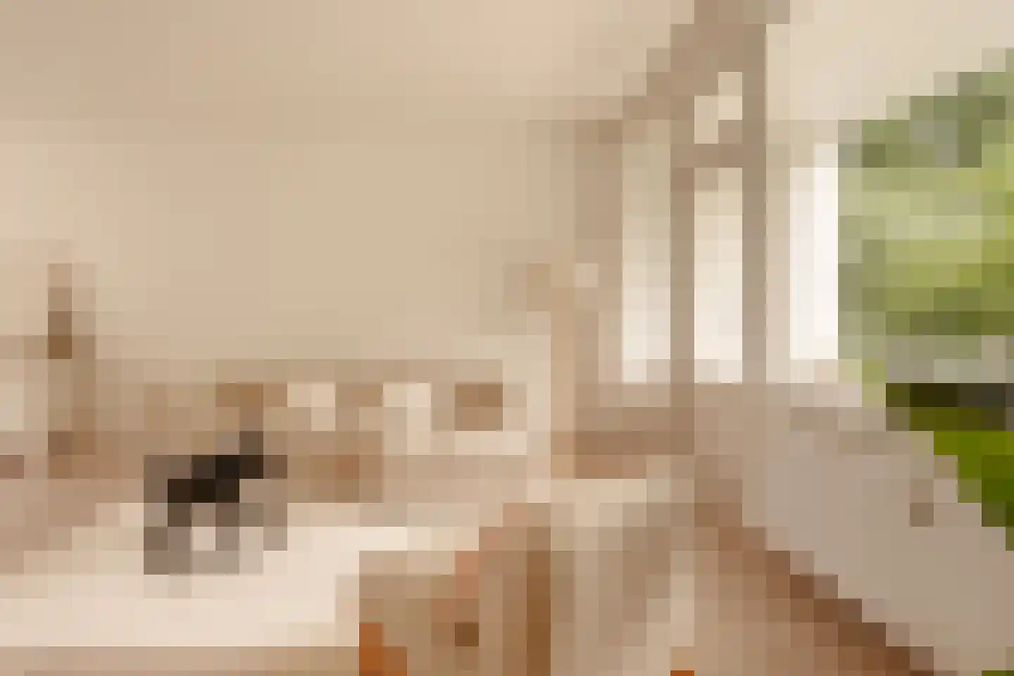 Kiefskamp 93 Amsterdam thumbnail 9