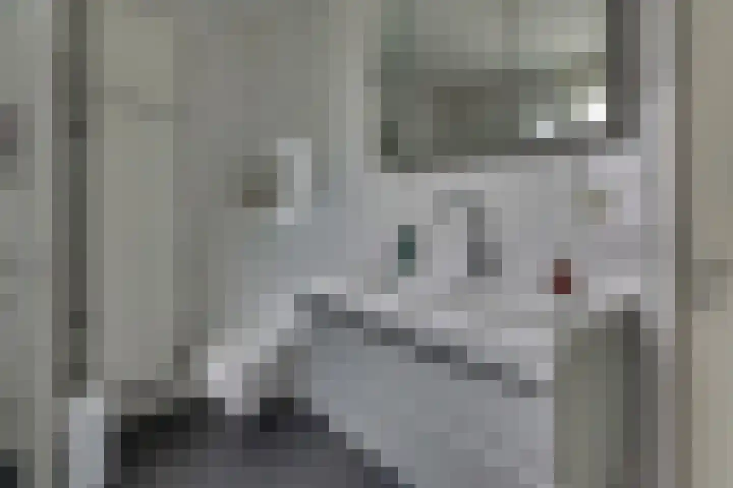Kieftenbelt 2 Holten thumbnail 25