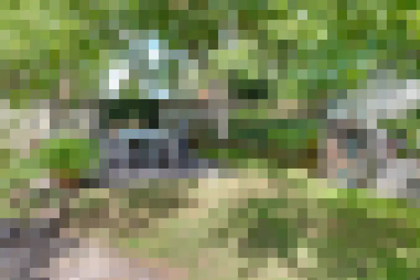 Kieftenbelt 2 Holten thumbnail 37