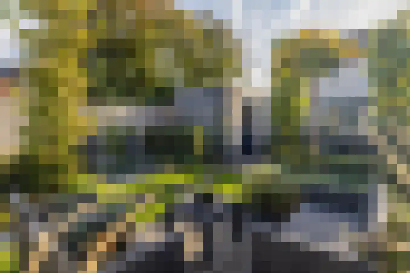 Kieftenbelt 21 Holten thumbnail 39