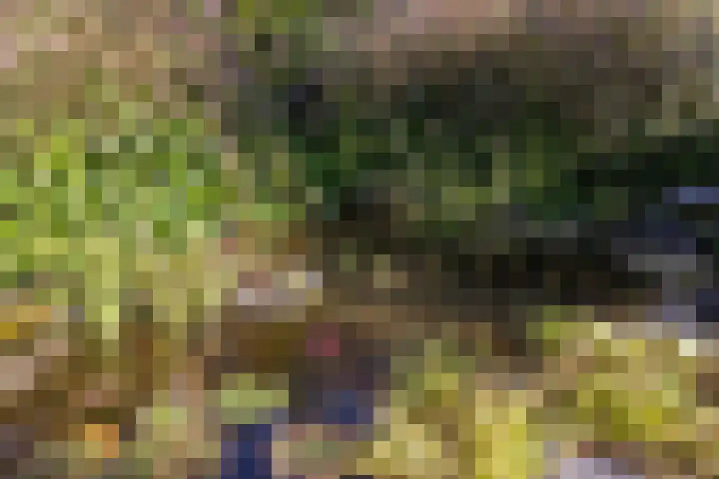 Kieftenbelt 21 Holten thumbnail 46