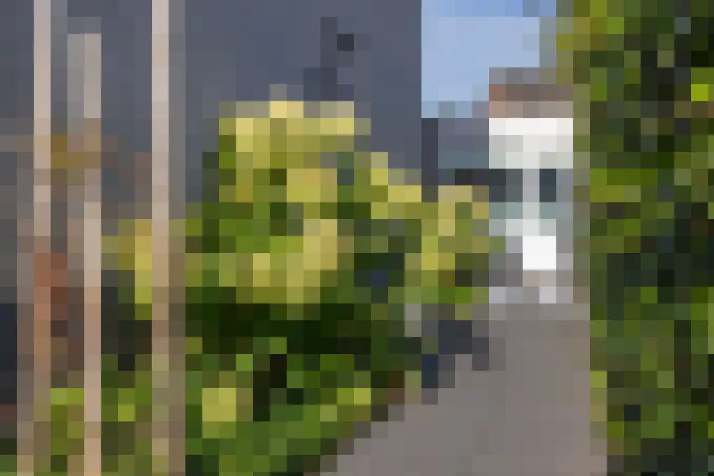Kieftenbelt 21 Holten thumbnail 50